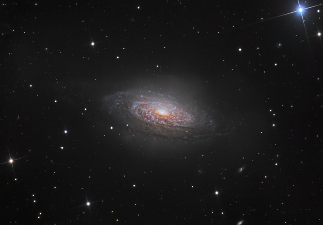 NGC 3521 astrophotography chile