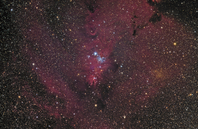 NGC 2264, The Cone Nebula in Monoceros