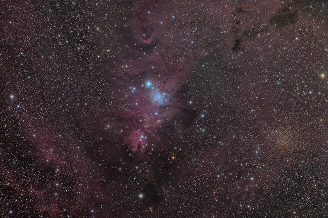 NGC 2264, The Cone and Fox Fur Nebula in Monoceros 