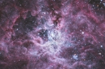NGC2070, tarantula Nebula, Astrophotography Chile, Jose Joaquin Perez