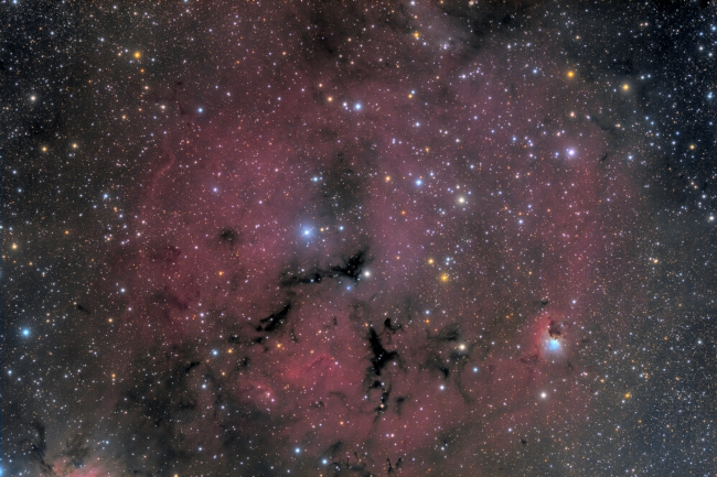 Gum14, Vela, Astrophotography Chile