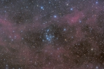 NGC 2577