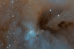 Rho Ophiuchi Wide Field