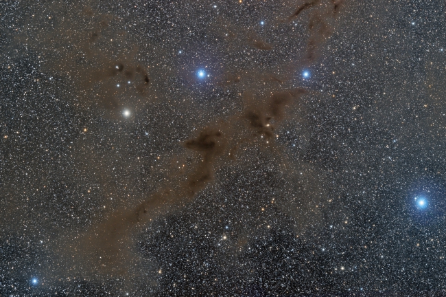 B228, Lupus